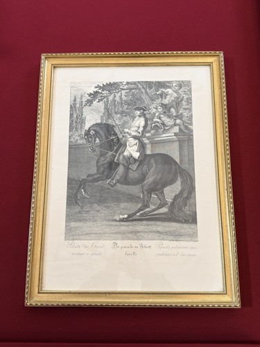 Gravure estampe johann elias - estampe,