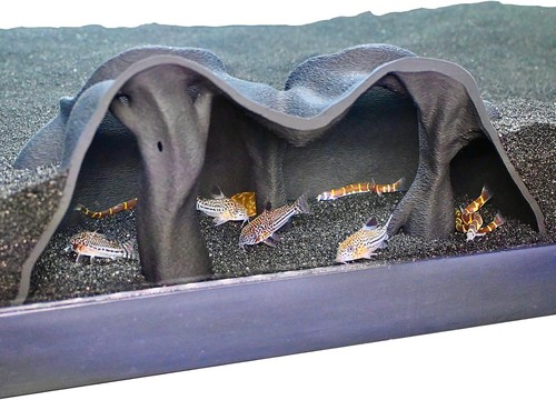 Aquarium underground cave - aquarium,