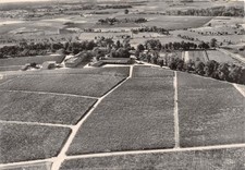 33-PAUILLAC-CHATEAU LAFITE ROTHSCHILD-N�528-B/0387