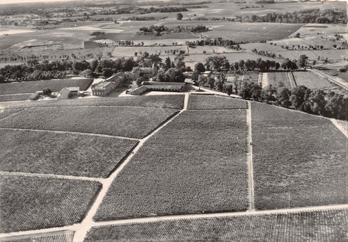 Pauillac chateau lafite - 33-pauillac-chateau,