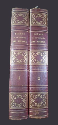 Scenes vie privee publique - scenes,