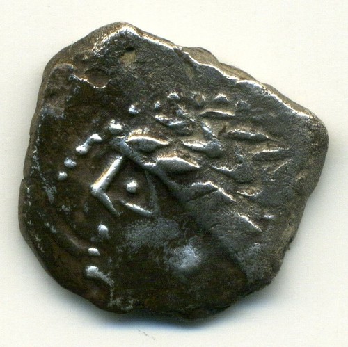 Rare allobroges - (4064),