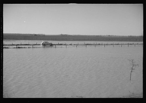Tiptonville tennessee 1937 - tiptonville,