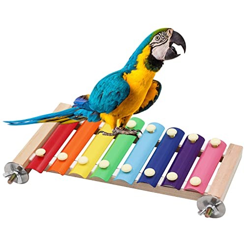 Dnoifne xylophone coloré pour - xylophone,