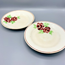 Paire de 2 assiettes vintage