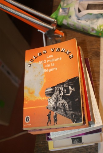 Les 500 millions bégum - les, la