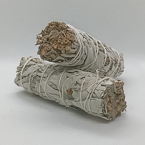 Sauge blanche californie - sauge,
