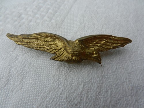 Insigne charognard épervier - insigne,
