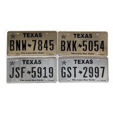 TEXAS (V1) : Plaque immatriculation US 30x15cm plate