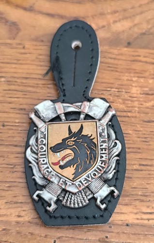 Insigne sapeurs pompiers - sapeurs,
