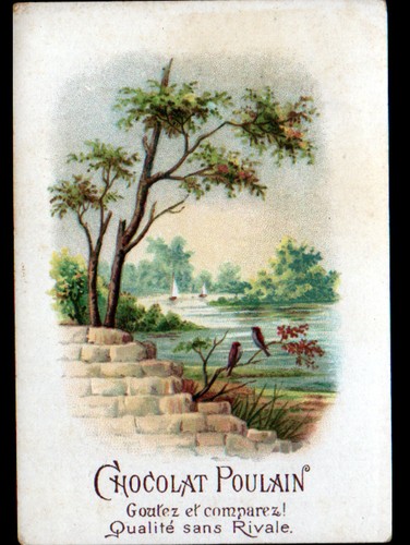 Image chromo chocolat poulain - chromo,
