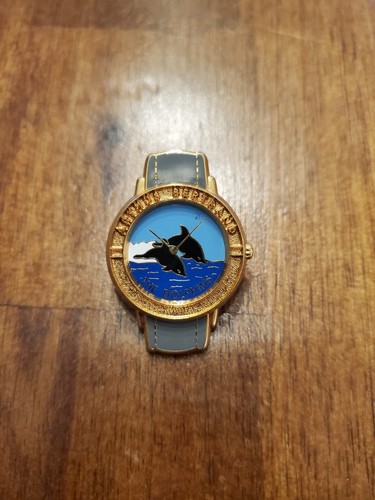 Pin rare the - dolphins, montre