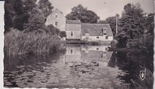 Carte postale postcard - 🦬carte, /