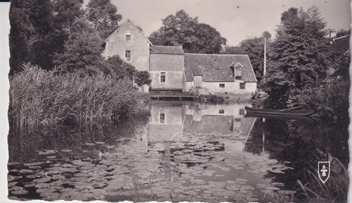 Carte postale postcard - 🦬carte, /