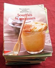 Mes meilleures recettes gourmandes. Lot bradé de 21 n°. Femme actuelle. 2008.