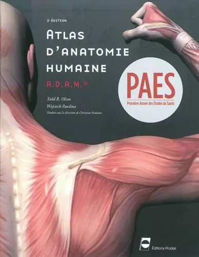 Atlas anatomie humaine - atlas,