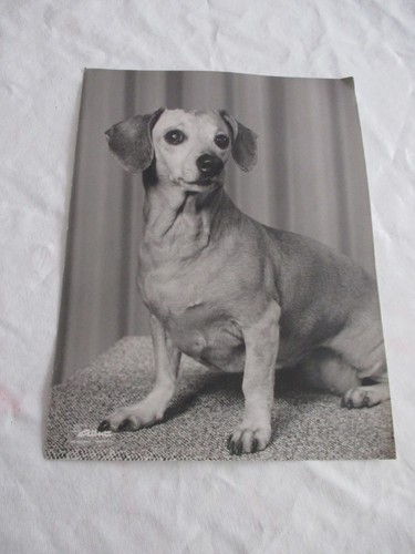 Photographie 18 cm - x,