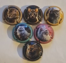 Capsule de champagne Generique Chat. Fevrier 2024. TP