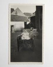 Nourrisson 2 mois, fauteuil