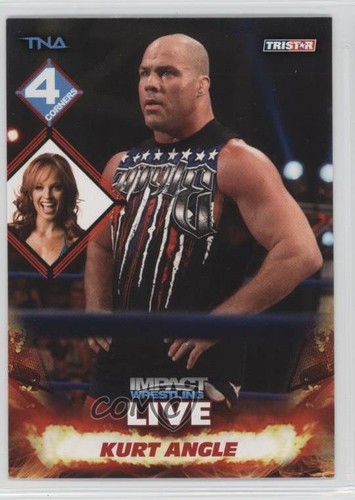 2013 tristar tna impact - 2013,