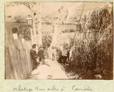 Portugal, Lisbonne, Abattage