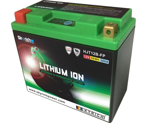 Batterie skyrich lithium ion - batterie,