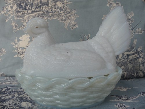 Poule opaline blanche - poule,