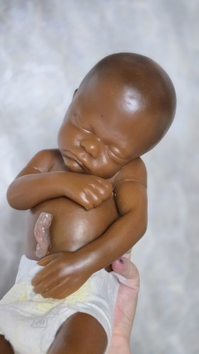Somso john realistic - somso,