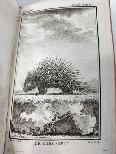 Buffon histoire naturelle - histoire,