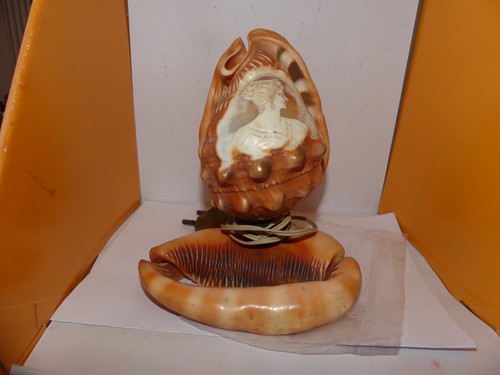 Coquillage lampe camee - lampe,