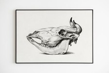 Crâne De Un Imprimé Vache