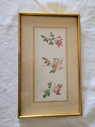 Lithographie planche - de,
