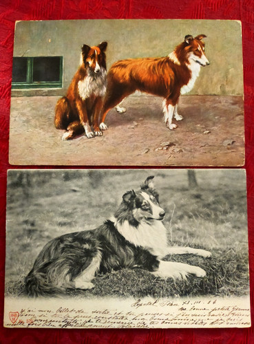 Cartes postales 1904 - 2,