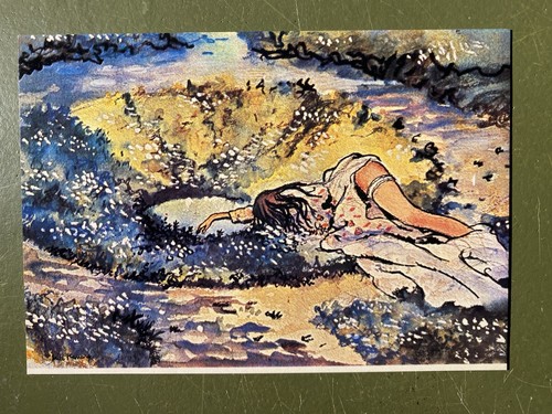 Carte postale libris - postale, ex