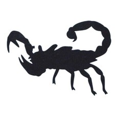 Pochoir scorpion insecte