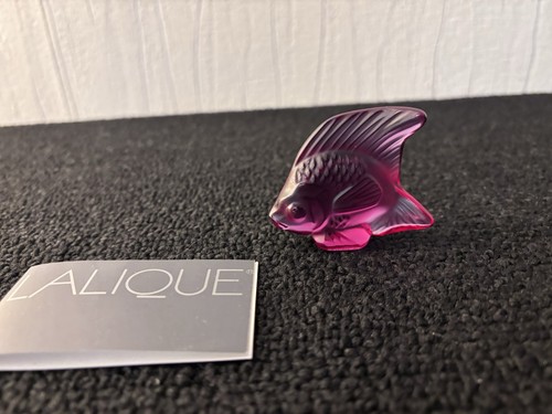 Poisson pourpre clair - , en