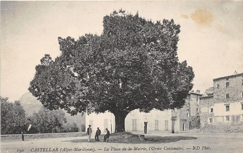 06-CASTELLAR-N�T206-E/0285