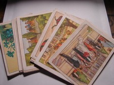 UNE TRENTAINE D'IMAGES DES