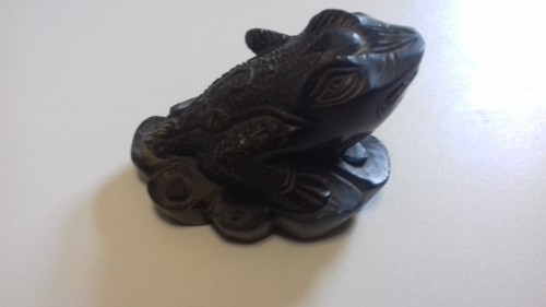 Grenouille pierre dure - grenouille,
