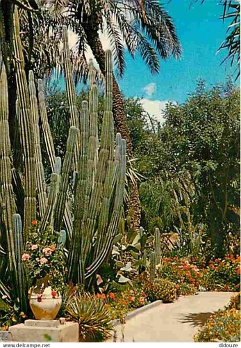 Carte postale maroc - carte,