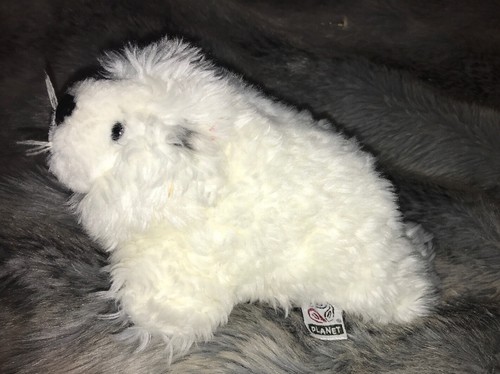 Peluche phoque blanc - b, #