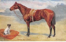 Chiens - n°82093 - After the Race - Chien assis sur un coussin près d'un che