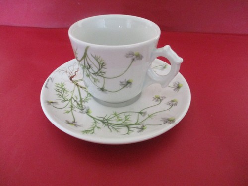Tasse sous - ,