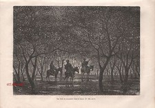 Doc.Ancien Le Citronnier Citron  Val de Guachicomo Cauca Colombia 1895 -2j