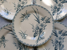 Fin XIX ème Faïence de Gien