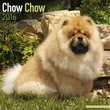 Calendrier 2016 - CHOW CHOW