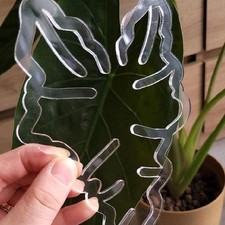 Porte-fleurs transparent