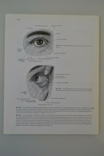 Planche anatomie humaine - d'anatomie,