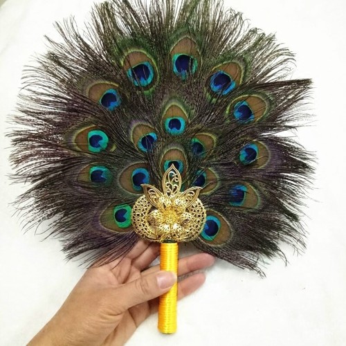 Vintage paon plume éventail - paon,