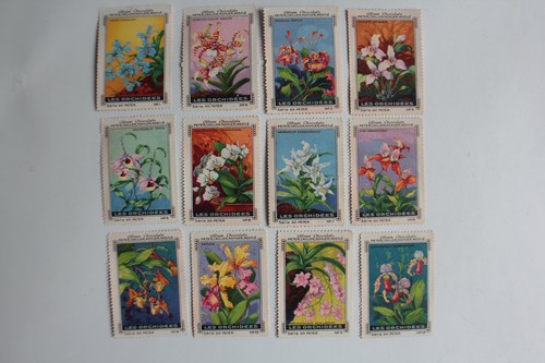 Vignettes chocolat - vignettes, )